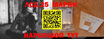 гашик Малгобек