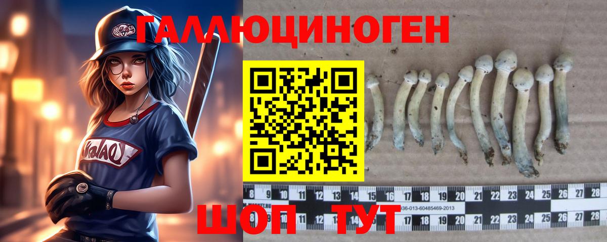 Псилоцибиновые грибы мицелий Чайковский