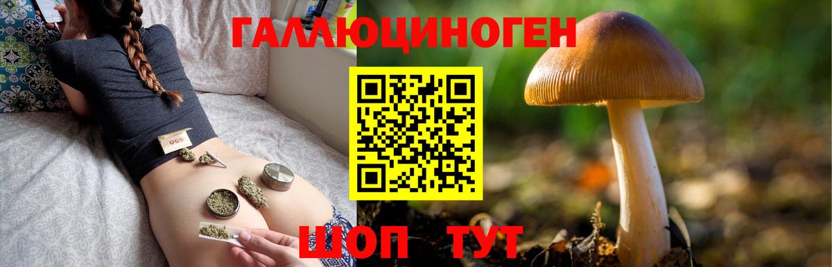 Чайковский  где купить наркотик  Вход с VPN  Галлюциногенные грибы мицелий 